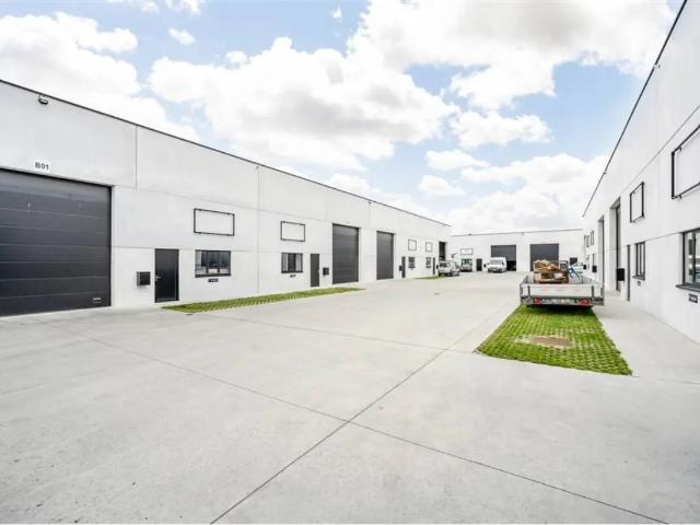 Local Commercial vente à Waregem, West-Vlaanderen