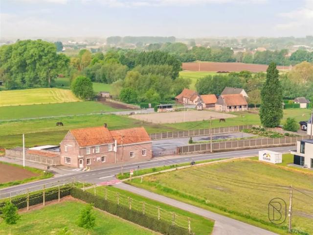 Local Commercial vente à Deinze, Oost-Vlaanderen