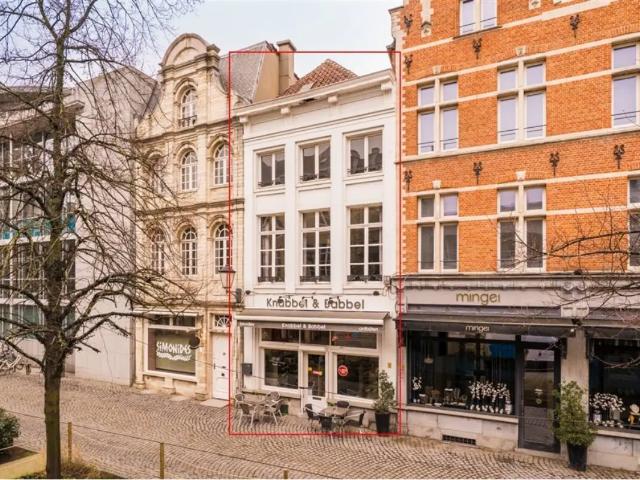Local Commercial vente à Mechelen, Antwerpen