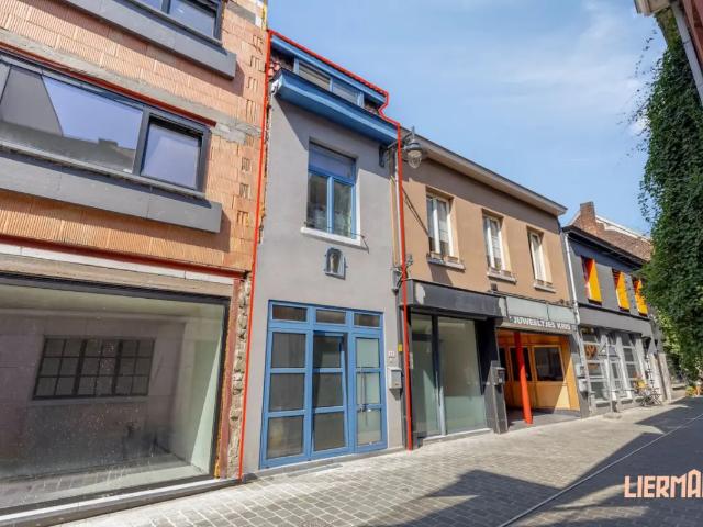 Maison vente à Aalst, Oost-Vlaanderen