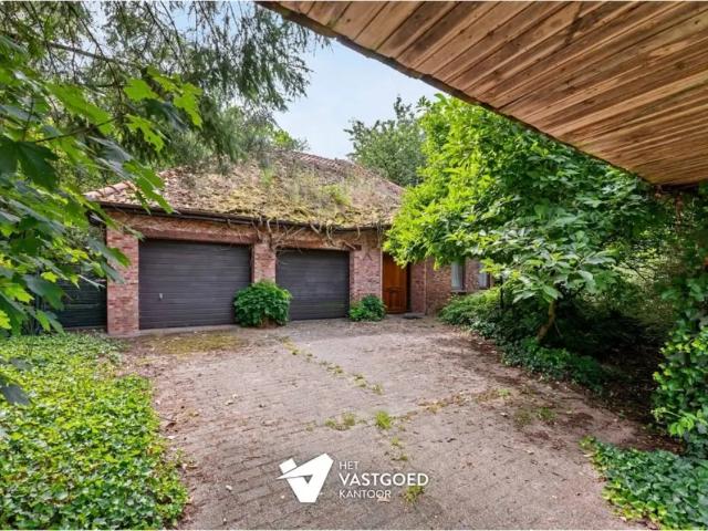 Maison vente à Balen, Antwerpen