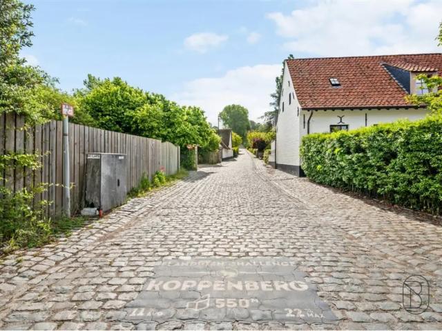 Maison vente à Audenarde, Oost-Vlaanderen