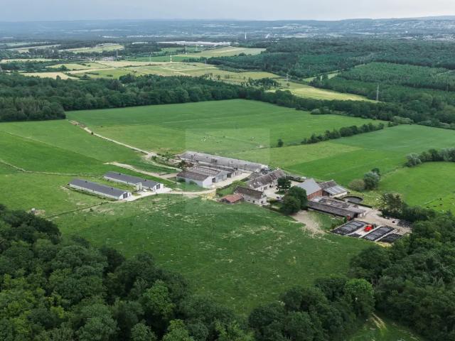 Maison vente à Ciney, Wallonie