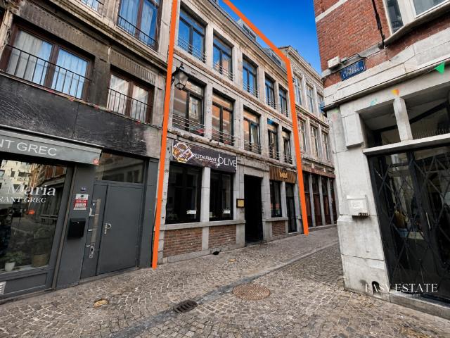 Maison vente à Centre, Liège