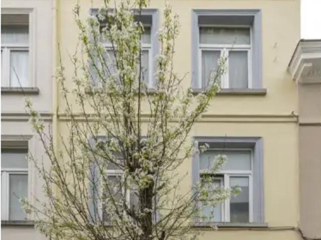 Maison vente à Molem, Bruxelles