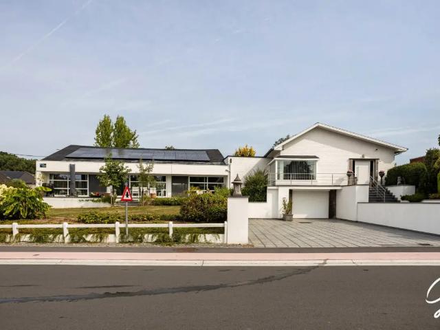 Maison vente à Grammont, Oost-Vlaanderen