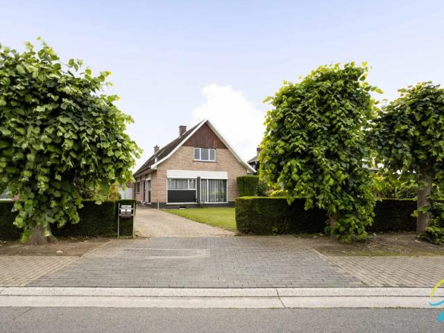 Maison vente à Grammont, Oost-Vlaanderen