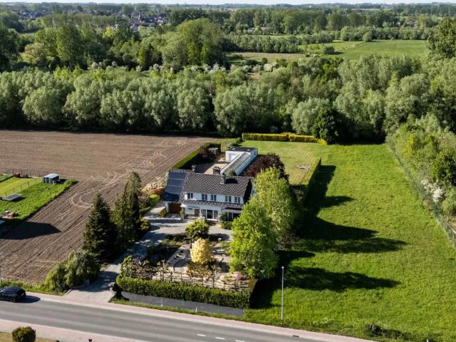 Maison vente à Grammont, Oost-Vlaanderen