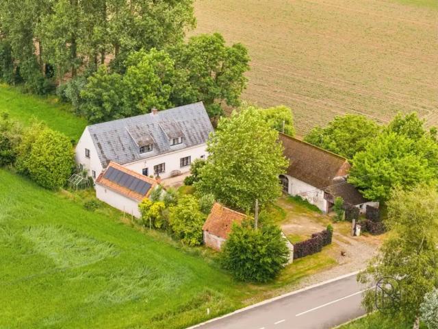 Maison vente à Horebeke, Oost-Vlaanderen