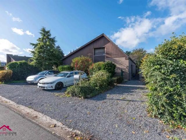 Maison vente à Maaseik, Limburg