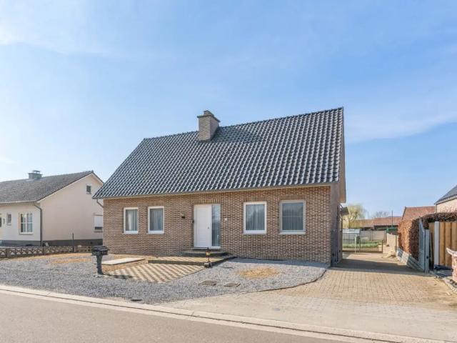 Maison vente à Kinrooi, Limburg