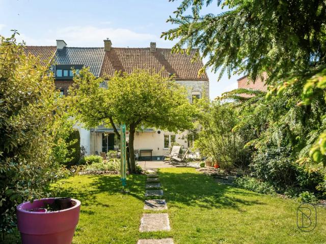 Maison vente à Renaix, Oost-Vlaanderen