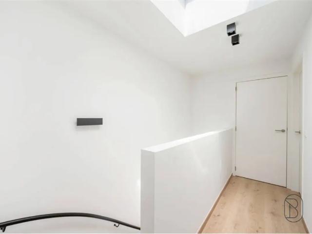 Maison vente à Renaix, Oost-Vlaanderen