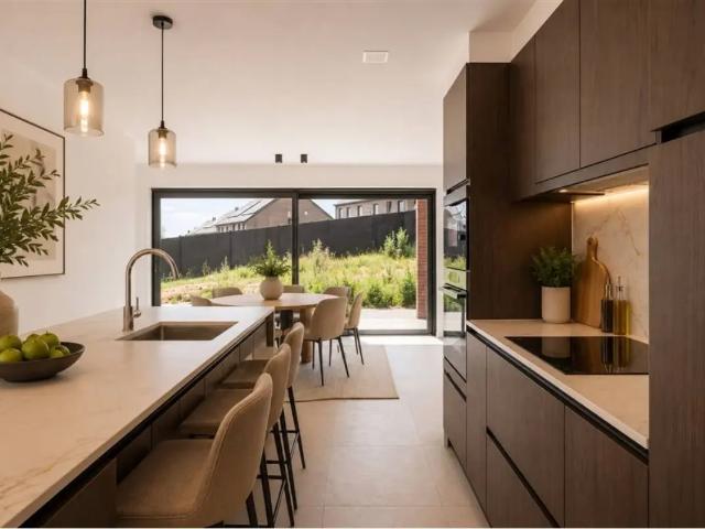 Maison vente à Renaix, Oost-Vlaanderen