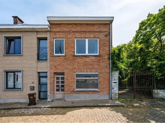 Maison vente à Renaix, Oost-Vlaanderen