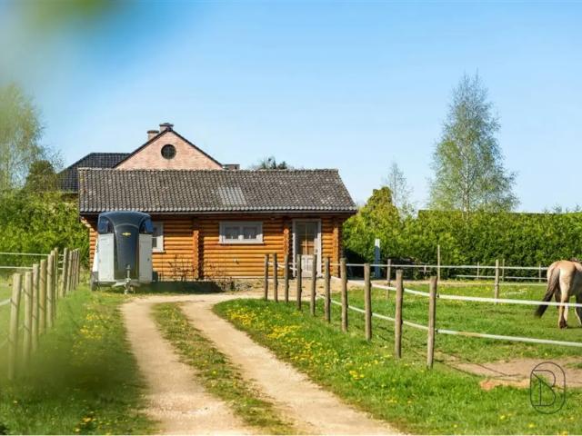 Maison vente à Renaix, Oost-Vlaanderen