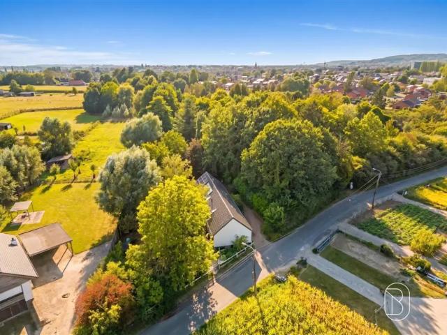 Maison vente à Renaix, Oost-Vlaanderen