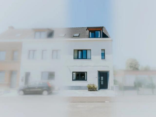 Maison vente à Renaix, Oost-Vlaanderen