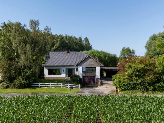 Maison vente à Renaix, Oost-Vlaanderen