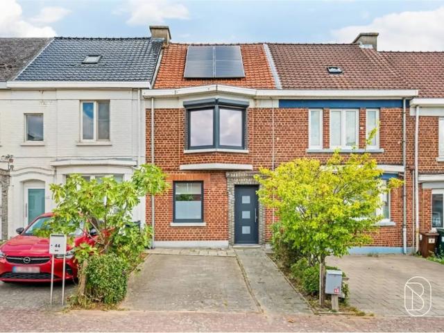 Maison vente à Renaix, Oost-Vlaanderen