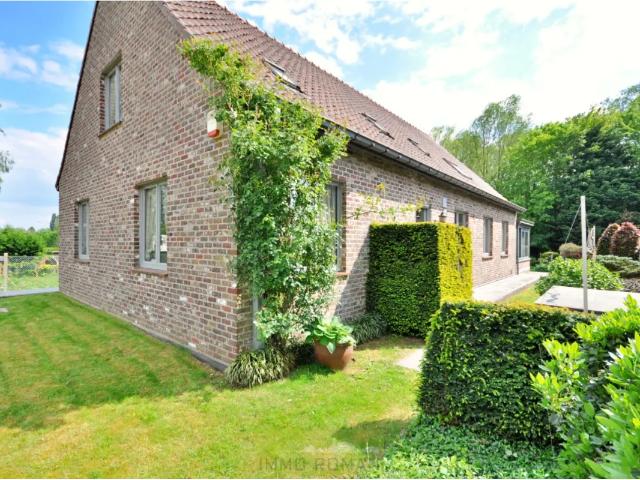 Maison vente à Renaix, Oost-Vlaanderen