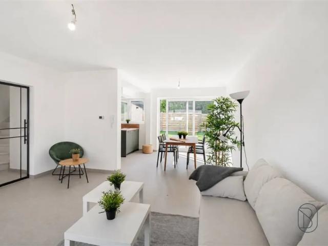 Maison vente à Renaix, Oost-Vlaanderen