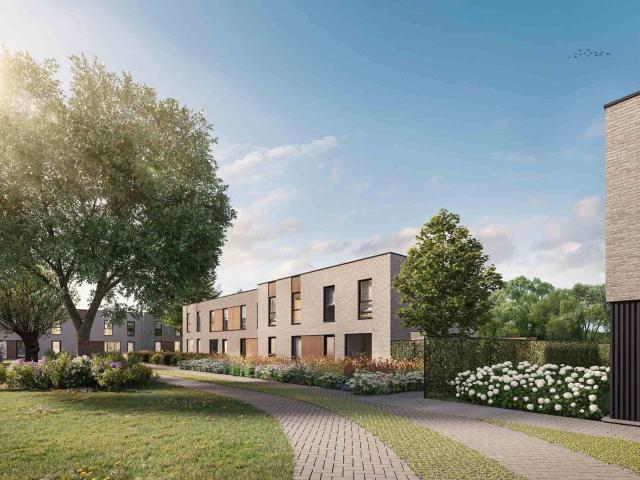 Maison vente à Renaix, Oost-Vlaanderen