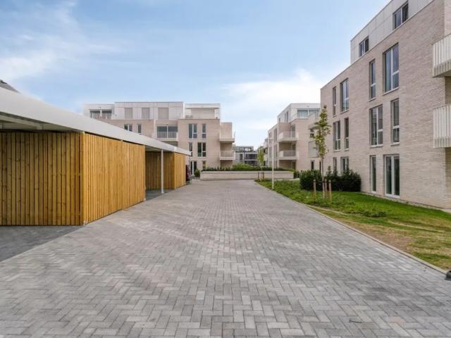 Maison vente à Renaix, Oost-Vlaanderen