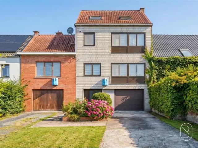 Maison vente à Renaix, Oost-Vlaanderen