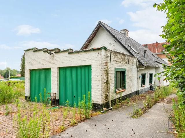 Maison vente à Renaix, Oost-Vlaanderen