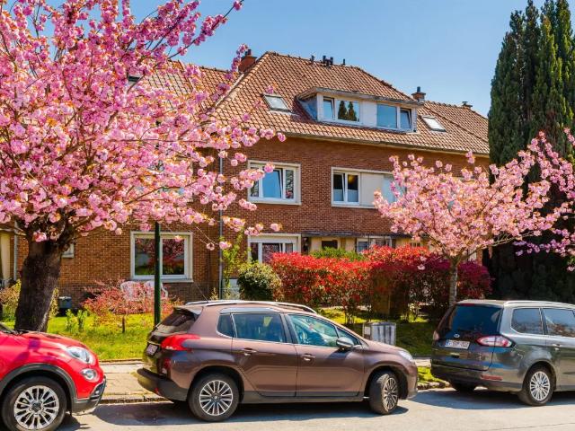 Maison vente à Sint-pieters-woluwe, Bruxelles