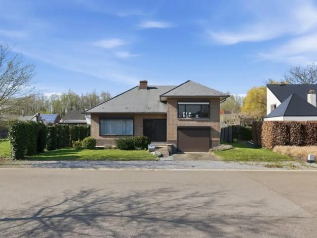 Maison vente à Gelinden, Limburg