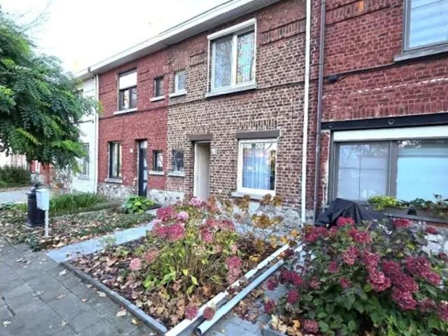 Maison vente à Vilvoorde, Brabant