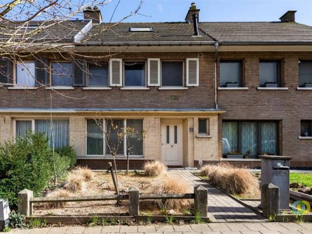 Maison vente à Vilvoorde, Brabant