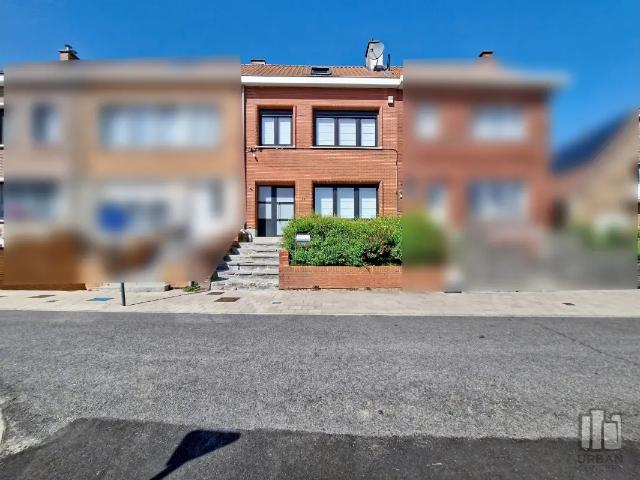 Maison vente à Vilvoorde, Brabant