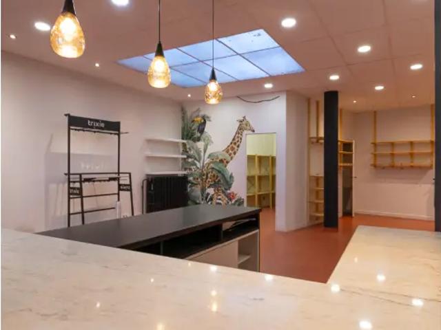 Bureau vente à Brunehaut, Wallonie