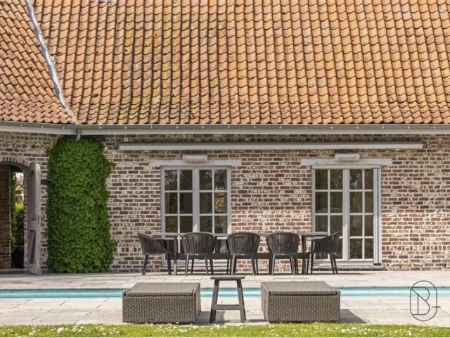 Terrain vente à Kruishoutem, Oost-Vlaanderen