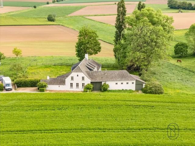 Château vente à Maarkedal, Oost-Vlaanderen