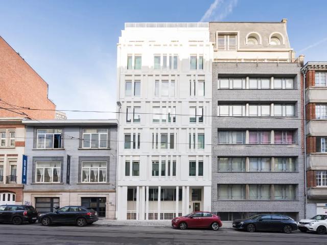 Kot vente à Brussel, Bruxelles