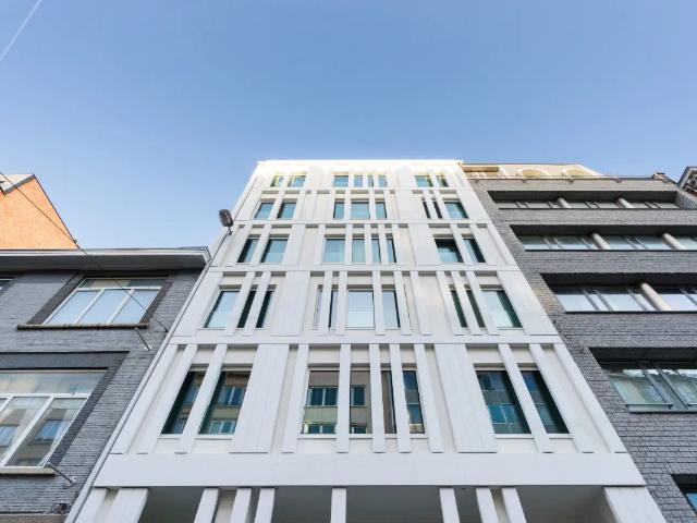Kot vente à La Cambre - Ter Kameren, Bruxelles - Brussel