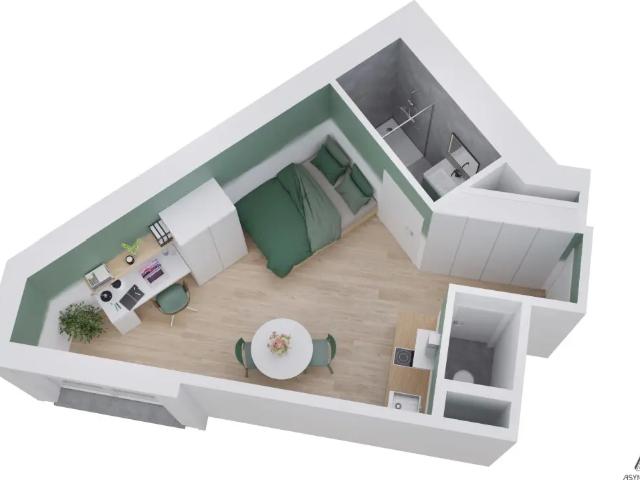 Kot vente à Brussel, Bruxelles