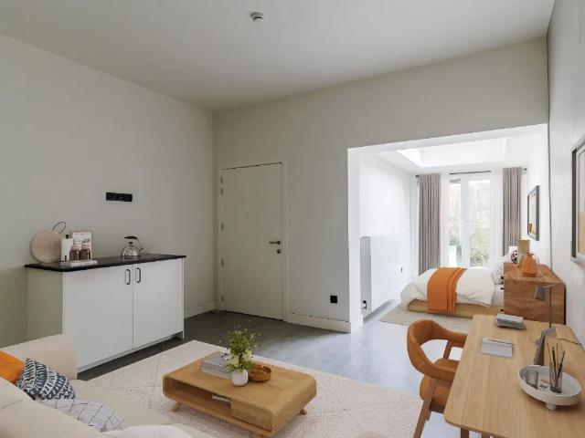 Kot vente à Desteldonk, Oost-Vlaanderen