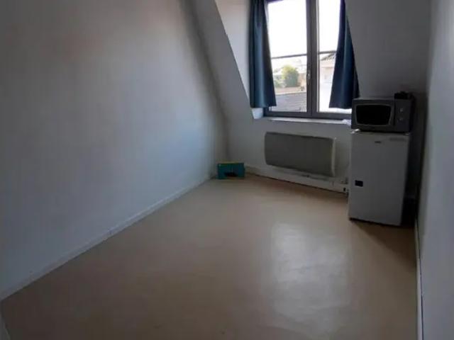 Kot vente à Desteldonk, Oost-Vlaanderen