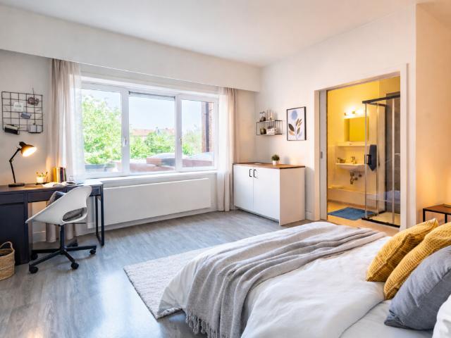 Kot vente à Desteldonk, Oost-Vlaanderen