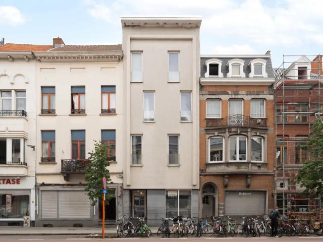 Kot vente à Mechelen, Antwerpen