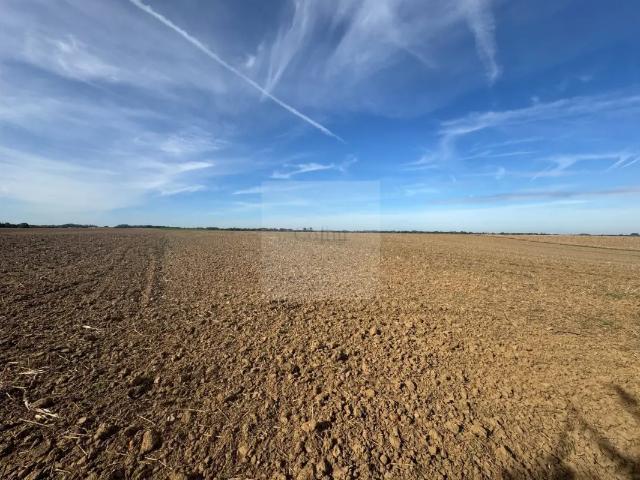 Terrain vente à Incourt