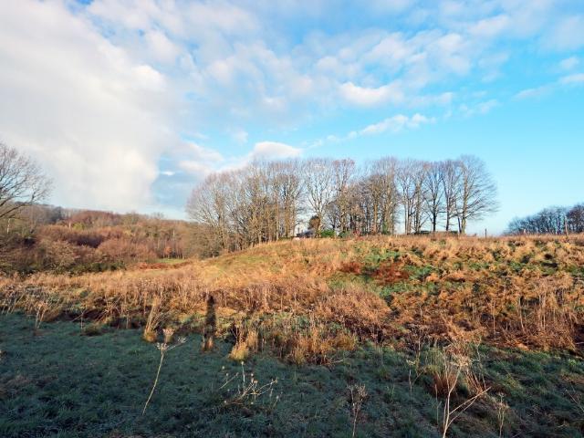 Terrain vente à Tielt-winge, Brabant