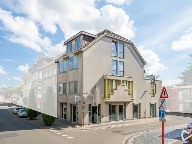 Terrain vente à Audenarde, Oost-Vlaanderen