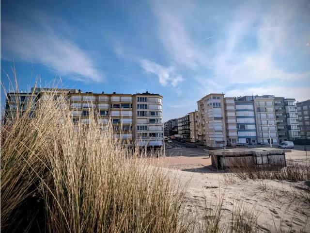 Penthouse vente à Coxyde, West-Vlaanderen