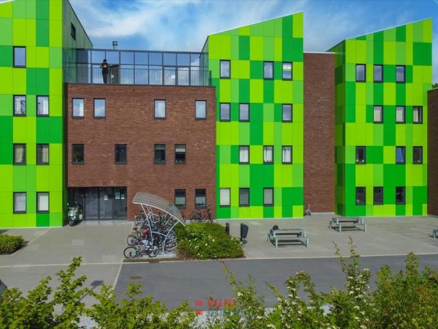 Kot vente à Brugge, West-Vlaanderen